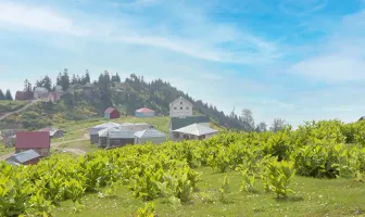 1 Night 2 Days Ozurgeti Tour Package 1 Night 2 Days Ozurgeti Tour Package