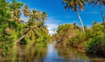 7 Days Sri Lanka Family Tour Package 7 Days Sri Lanka Family Tour Package