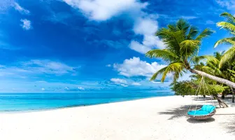 Nova Plantinum Hotel 3 Nights 4 Days Pattaya Tour Package Nova Plantinum Hotel 3 Nights 4 Days Pattaya Tour Package