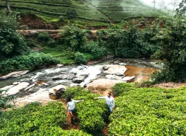 Best Selling 5 Days 4 Nights Romantic Sri Lanka Honeymoon Package