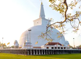 5 Nights 6 Days Romantic Sri Lanka Honeymoon Package