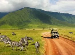 5 Nights 6 Days Tanzania Safari Tour Package
