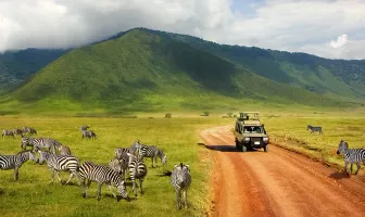 5 Nights 6 Days Tanzania Safari Tour Package 5 Nights 6 Days Tanzania Safari Tour Package