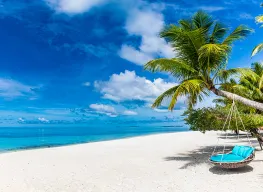 Cebu Whale Shark Island Canyoneering 6 Days 5 Nights Tour Package