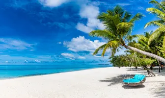 Cebu Whale Shark Island Canyoneering 6 Days 5 Nights Tour Package