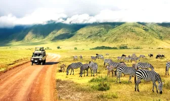 Romantic Escape with Safari 9 Nights 10 Days Tanzania Honeymoon Package Romantic Escape with Safari 9 Nights 10 Days Tanzania Honeymoon Package
