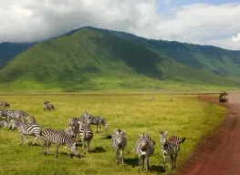 Amazing Tanzania 7 Days 6 Nights Safari Tour Package