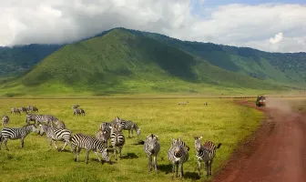 Amazing Tanzania 7 Days 6 Nights Safari Tour Package Amazing Tanzania 7 Days 6 Nights Safari Tour Package