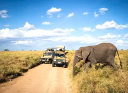 Wildlife Safari with Zanzibar 8 Days 7 Nights Tanzania Tour Package