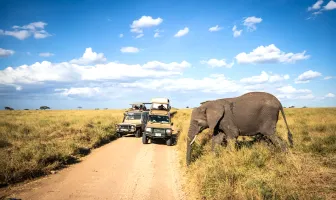 Wildlife Safari with Zanzibar 8 Days 7 Nights Tanzania Tour Package Wildlife Safari with Zanzibar 8 Days 7 Nights Tanzania Tour Package