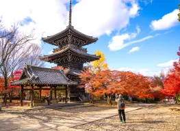 Discover Tokyo 7 Days 6 Nights Tour Package