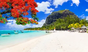 Mesmerizing 5 Nights 6 Days Mauritius Honeymoon Package Mesmerizing 5 Nights 6 Days Mauritius Honeymoon Package