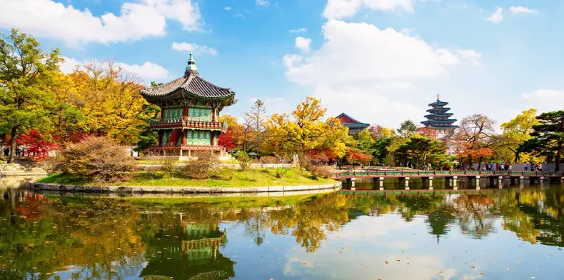 Memorable 5 Days 4 Nights Seoul and Busan Tour Package