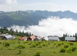 Ozurgeti 3 Nights 4 Days Tour Package