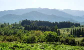 3 Days 2 Nights Ozurgeti Tour Package 3 Days 2 Nights Ozurgeti Tour Package