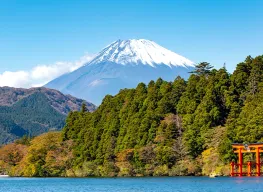 7 Days 6 Nights Amazing Japan Tour Package