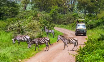 Alluring Tanzania 5 Days 4 Nights Zanzibar Tour Package Alluring Tanzania 5 Days 4 Nights Zanzibar Tour Package