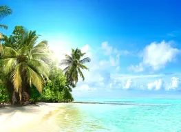 Luxury 5 Days 4 Nights Island Villa Tour Package