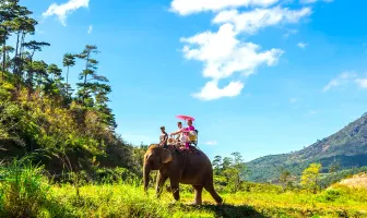 Unforgettable 8 Days 7 Nights Sri Lanka Honeymoon Package Unforgettable 8 Days 7 Nights Sri Lanka Honeymoon Package