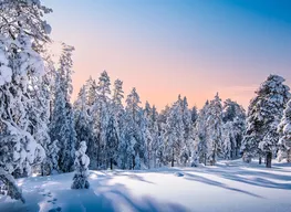 8 Days 7 Nights Iceland & Finland Tour Package