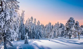 8 Days 7 Nights Iceland & Finland Tour Package