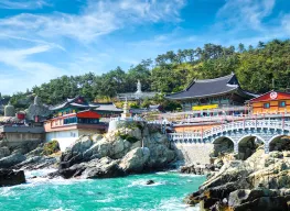 Essence of South Korea 8 Days 7 Nights Tour Package