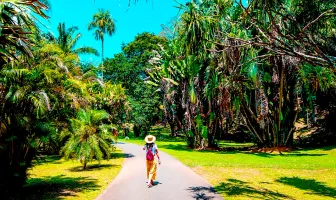 8 Days 7 Nights Bentota Colombo and Kandy Tour Package