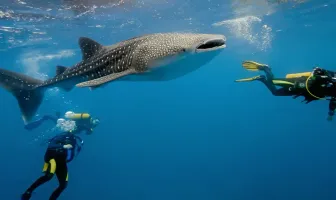 8 Days Maldives Adventure Honeymoon Package 8 Days Maldives Adventure Honeymoon Package