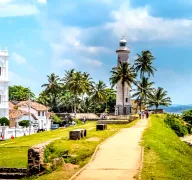 Affordable 5 Nights 6 Days Sri Lanka Honeymoon Package