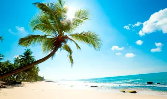 4 Nights 5 Days Kandy Nuwara Eliya Bentota Tour Package 4 Nights 5 Days Kandy Nuwara Eliya Bentota Tour Package