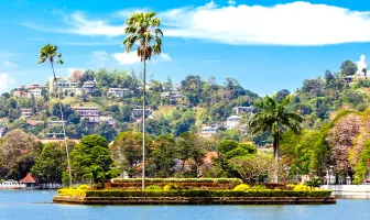 Mesmerizing 3 Nights 4 Days Sri Lanka Honeymoon Package Mesmerizing 3 Nights 4 Days Sri Lanka Honeymoon Package