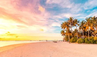 All Inclusive 4 Nighst 5 Days Luxury Taj Exotica Resort Tour Package All Inclusive 4 Nighst 5 Days Luxury Taj Exotica Resort Tour Package