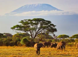 Charismatic Kenya 5 Nights 7 Days Tour Package