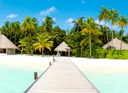 Stunning Paradise Island Resort 4 Nights 5 Days Tour Package