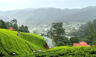 Green Bouquet South India 8 Nights 9 Days Tour Package Green Bouquet South India 8 Nights 9 Days Tour Package