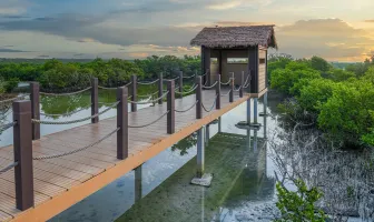 4 Days Dukhan City and North Qatar Tour Package 4 Days Dukhan City and North Qatar Tour Package