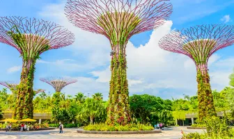 7 Nights 8 Days Singapore Family Tour Package 7 Nights 8 Days Singapore Family Tour Package