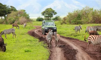 Best of Tanzania 21 Days 20 Nights Tour Package Best of Tanzania 21 Days 20 Nights Tour Package