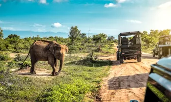 Tropical Paradise 5 Nights 6 Days Sri Lanka Tour Package Tropical Paradise 5 Nights 6 Days Sri Lanka Tour Package