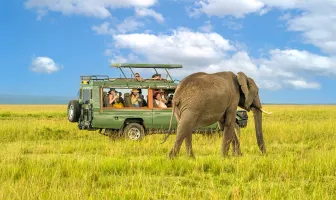 Tanzania Private Safari 6 Days 5 Nights Tour Package Tanzania Private Safari 6 Days 5 Nights Tour Package