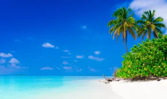 Special 7 Days Mauritius Honeymoon Package Special 7 Days Mauritius Honeymoon Package
