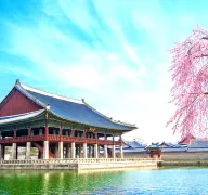 7 Nights 8 Days Busan and Seoul Tour Package