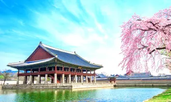 7 Nights 8 Days Busan and Seoul Tour Package 7 Nights 8 Days Busan and Seoul Tour Package