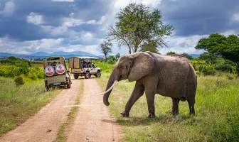 Alluring Tanzania 4 Days 3 Nights Safari Tour Package Alluring Tanzania 4 Days 3 Nights Safari Tour Package