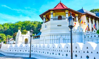 5 Nights 6 Days Sri Lanka Family Tour Package 5 Nights 6 Days Sri Lanka Family Tour Package