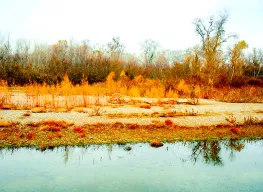 4 Nights 5 Days Gardabani Tour package