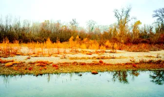 4 Nights 5 Days Gardabani Tour package 4 Nights 5 Days Gardabani Tour package