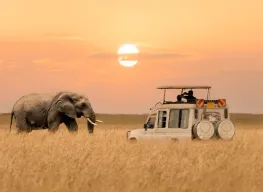 7 Nights 8 Days Cheetah Safari Kenya Tour Package