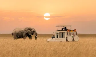 7 Nights 8 Days Cheetah Safari Kenya Tour Package 7 Nights 8 Days Cheetah Safari Kenya Tour Package