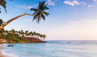 Best of Sri Lanka 4 Nights 5 Days Cutlural Tour Package Best of Sri Lanka 4 Nights 5 Days Cutlural Tour Package